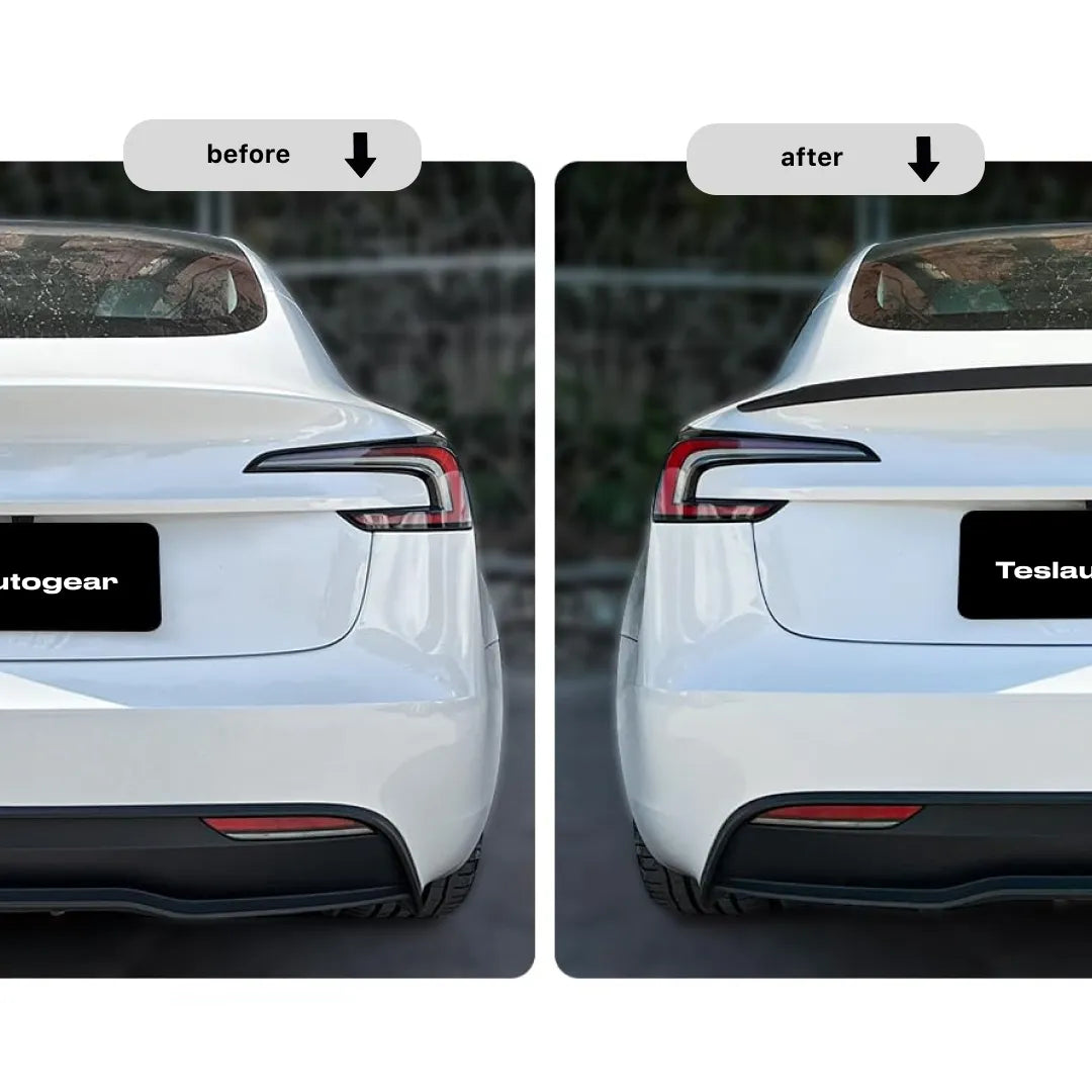 Real Carbon Fiber Tail Spoiler